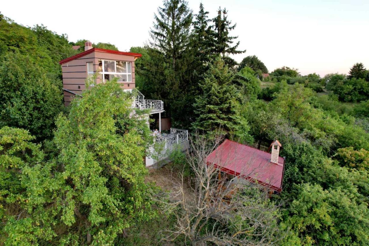 Lux Star-Vila Za Odmor Villa Besenovacki Prnjavor Buitenkant foto